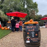 Pumpkin Hunt 2021