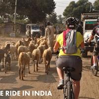 India Cycle Challenge for Kieran